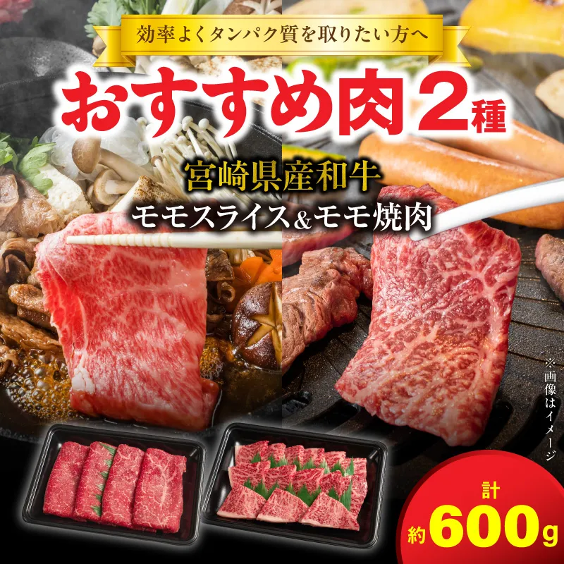 【まいふる限定】効率よくタンパク質を取りたい方へ おすすめ肉2種 N0214-YA872