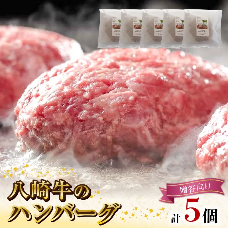 八崎牛のハンバーグ120g×5個【贈答向け】 N0105-YZA596