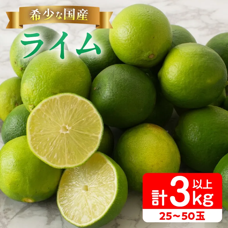 先行予約 皮まで使える ライム 計3kg以上 希少 国産ライム 果物 くだもの フルーツ 柑橘 おすすめ 塩ライム ジュース 飲み物 サラダ 調味料 焼肉 バーベキュー BBQ デザート おすそ分け 産地直送 食品 お土産 宮崎県 日南市 送料無料_AA75-26