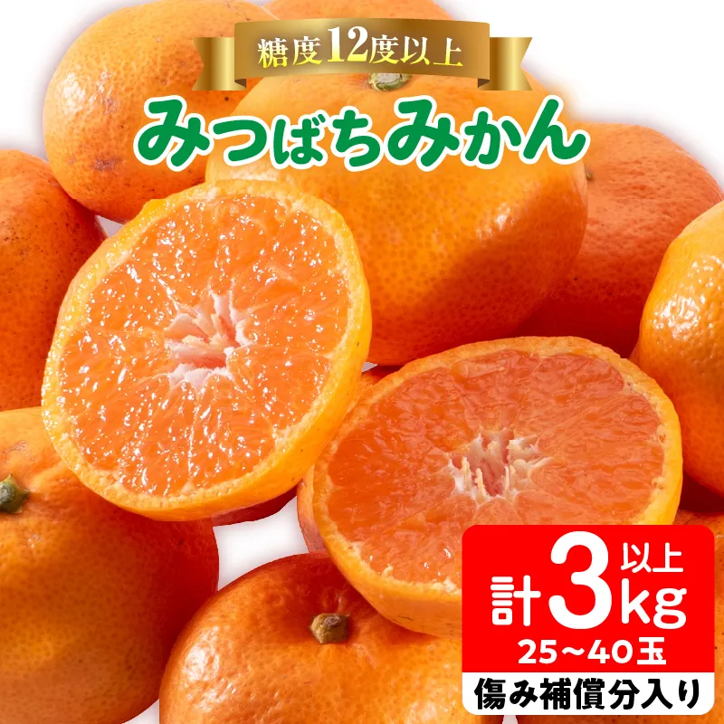 先行予約 みつばちみかん 計3kg以上 傷み補償分入り 果物 くだもの フルーツ 蜜柑 ミカン 柑橘 オレンジ おやつ デザート みかんジュース 飲み物 小ぶり おすすめ おすそ分け 国産 食品 産地直送 贈り物 お土産 宮崎県 日南市 送料無料_AAV9-25