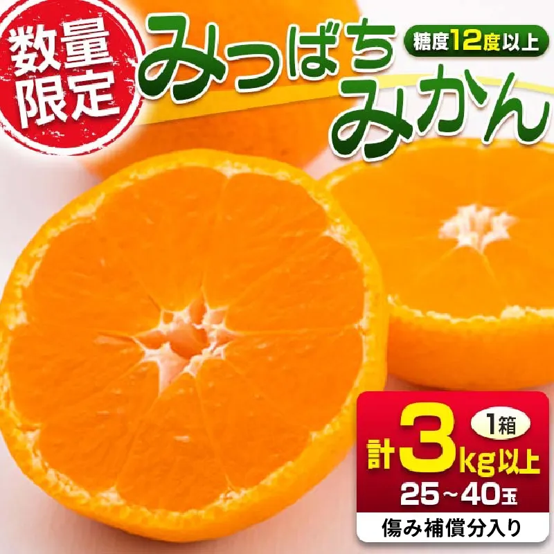 先行予約 みつばちみかん 計3kg以上 傷み補償分入り 期間限定 数量限定 果物 くだもの フルーツ 蜜柑 ミカン 柑橘 オレンジ おやつ デザート みかんジュース 飲み物 小ぶり おすすめ おすそ分け 国産 食品 産地直送 贈り物 お土産 宮崎県 日南市 送料無料_AAV9-25