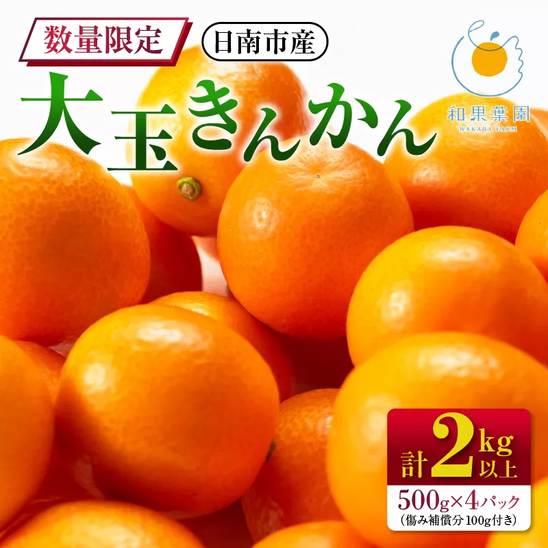 食べ応え抜群 大玉 きんかん 計2kg以上 傷み補償分付き 数量限定 期間限定 フルーツ 果物 くだもの 柑橘 金柑 先行予約 国産 希少 人気 おすすめ ジャム おやつ デザート 小分け おすそ分け 贈り物 ギフト 贈答 ご褒美 産地直送 宮崎県 日南市 送料無料_BB161-25