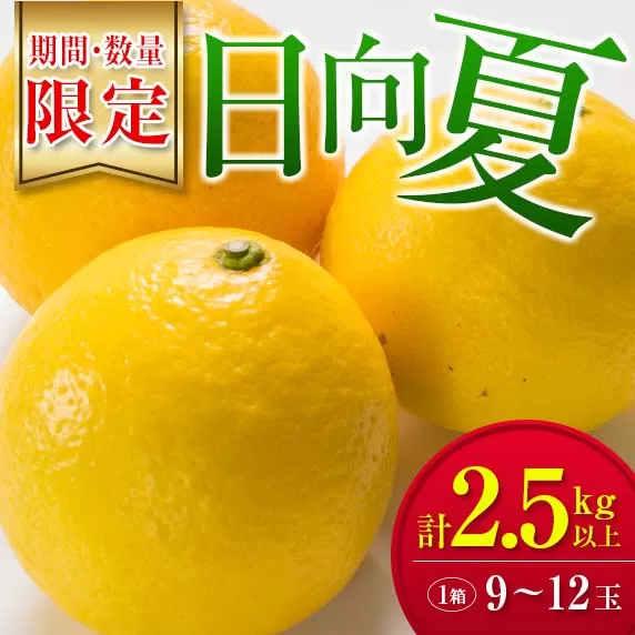 毎年大好評!!宮崎を代表するフルーツ 日向夏 計2.5kg以上 化粧箱入り 期間限定 数量限定 先行予約 2026 令和8年発送 果物 くだもの 柑橘 みかん みかんジュース デザート 国産 食品 おすすめ ギフト 贈り物 贈答 おすそ分け お祝い 宮崎県 日南市 送料無料_B214-23