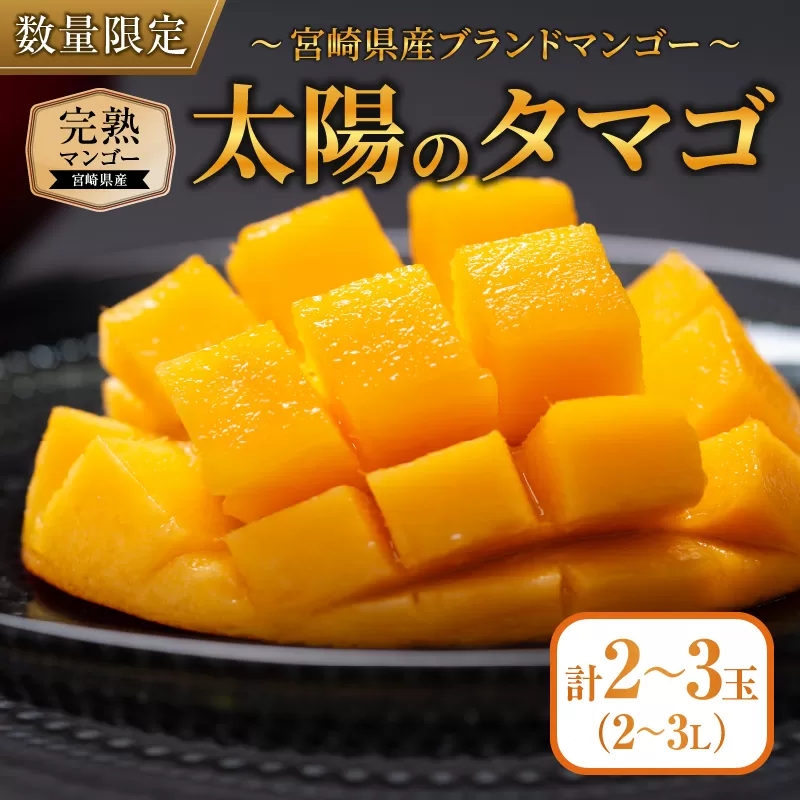 完熟マンゴー 太陽のタマゴ 2玉 ～ 3玉 期間限定 数量限定 マンゴー 宮崎 フルーツ 果物 くだもの 国産 食品 先行予約 2026 令和8年発送 濃厚 デザート おやつ おすすめ 冷蔵 ご褒美 おすそわけ 化粧箱入り ギフト プレゼント 贈り物 贈答 日南市 送料無料_FD13-25