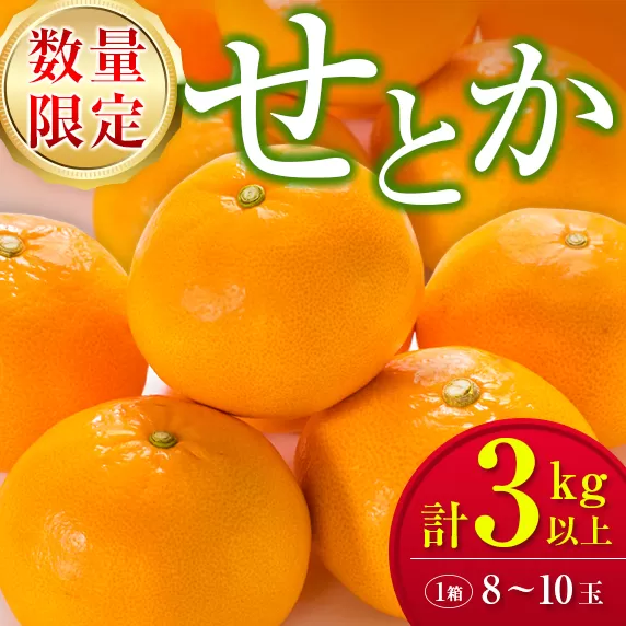 柑橘界の大トロ!! とろけるような食感!! せとか 計3kg以上 化粧箱入り 期間限定 数量限定 先行予約 2026 令和8年発送 果物 くだもの 柑橘 みかん おやつ デザート 国産 食品 おすすめ ギフト 贈り物 贈答 おすそ分け お祝い お返し 宮崎県 日南市 送料無料_D99-24