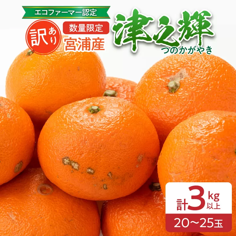 訳あり 津之輝 計3kg以上 先行予約 令和8年発送 期間限定 数量限定 国産 食品 果物 くだもの フルーツ 柑橘 みかん 不揃い S M L 混合 傷 わけあり デザート おやつ ジュース 家庭用 おすそ分け おすすめ つのかがやき 濃厚 常温 宮崎県 日南市 送料無料_BA68-23
