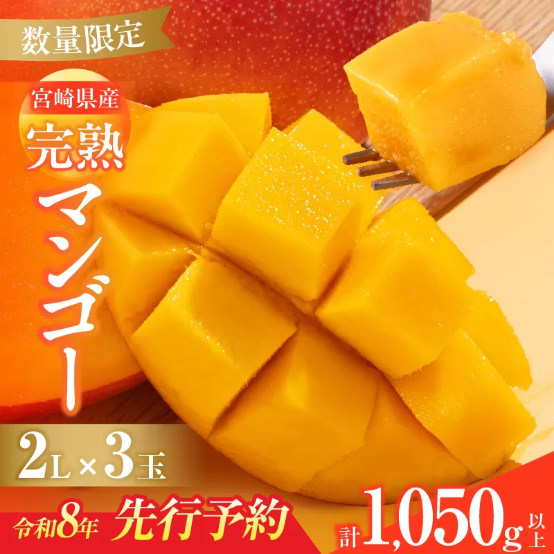 数量限定 宮崎県産 完熟マンゴー 2L×3玉 計1050g以上 期間限定 フルーツ スイーツ 果物 くだもの 食品 グルメ デザート 国産 産地直送 人気 おすすめ おやつ 高級 ご褒美 贅沢 贈り物 ギフト プレゼント 令和8年発送分 宮崎県 日南市 送料無料_DB37-25