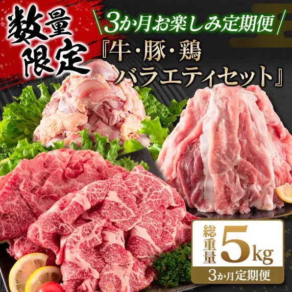 数量限定 3か月 お楽しみ 定期便 牛肉 豚肉 鶏肉 バラエティ セット 総重量5kg 宮崎牛 黒毛和牛 国産 ブランド牛 食品 おかず お弁当 おつまみ 切り落とし 切身 焼肉 からあげ お取り寄せ グルメ 小分け 真空パック おすそ分け 宮崎県 日南市 送料無料_FG13-26