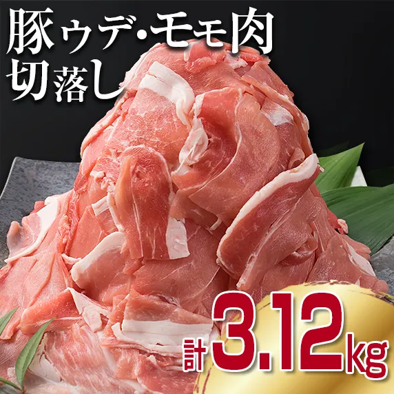 豚肉 豚ウデ 豚モモ 切り落とし セット 計3.12kg 国産 ポーク 食品 おかず 切落し スライス肉 万能食材 大容量 焼肉 生姜焼き カレー 肉じゃが 炒め物 お弁当 おつまみ 晩ご飯 うで もも 人気 冷凍 お土産 おすそ分け お取り寄せ 宮崎県 日南市 送料無料_C144-25