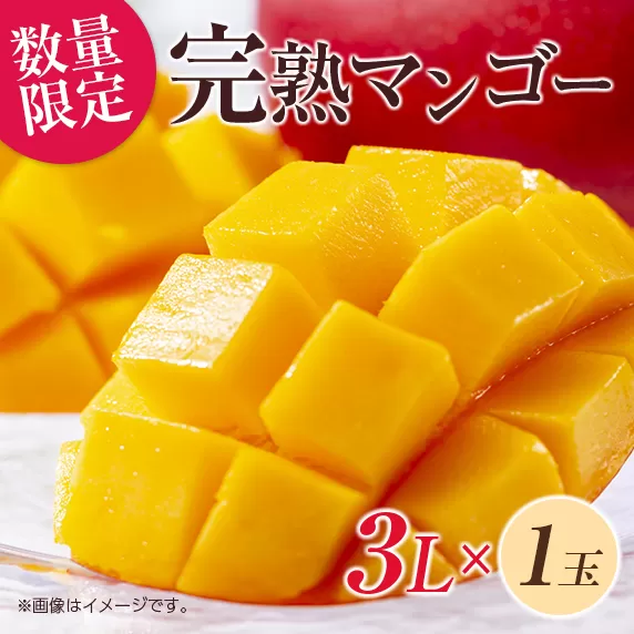 数量限定 完熟マンゴー 3L×1玉 フルーツ 果物 くだもの 国産 期間限定 先行予約 食品 デザート おやつ 人気 おすすめ おすそ分け ご褒美 お祝 お取り寄せ グルメ 産地直送 お土産 ギフト プレゼント 贈り物 贈答品 宮崎県 日南市 送料無料_C166-26