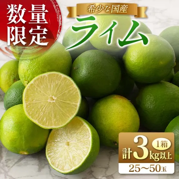 先行予約 皮まで使える ライム 計3kg以上 希少 国産ライム 果物 くだもの フルーツ 柑橘 期間限定 数量限定 おすすめ 塩ライム ジュース 飲み物 サラダ 調味料 焼肉 バーベキュー BBQ デザート おすそ分け 産地直送 食品 お土産 宮崎県 日南市 送料無料_AA75-26