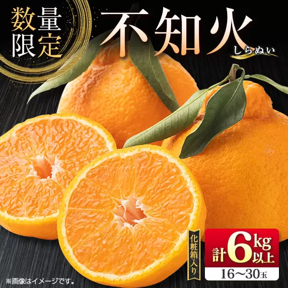 先行予約 不知火 計6kg以上 黒箱 化粧箱入り 期間限定 数量限定 果物 フルーツ くだもの 柑橘 みかん 令和8年発送 みかんジュース デザート おやつ 人気 おすすめ 国産 食品 ギフト 贈り物 贈答 ご褒美 お祝い 記念日 宮崎県 日南市 送料無料_D92-24