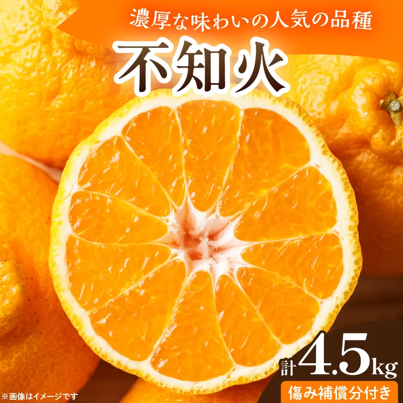 先行予約 不知火 計4.5kg 傷み補償分付き 期間限定 果物 くだもの フルーツ 蜜柑 ミカン 柑橘 おやつ デザート みかんジュース ゼリー シャーベット おすすめ おすそ分け 国産 食品 産地直送 お祝い お返し ギフト 贈り物 贈答 宮崎県 日南市 送料無料_CB112-25