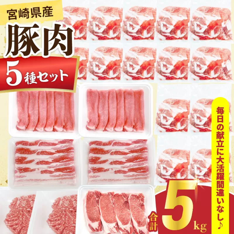宮崎県産 豚肉 5種 セット (合計5kg) 国産 食品 ロース 豚バラ スライス 切り落とし ミンチ しゃぶしゃぶ 生姜焼き とんかつ ソテー 豚丼 ハンバーグ 餃子 個包装 小分け おすすめ おかず お弁当 晩ご飯 手軽 便利 ギフト 贈り物 冷凍 日南市 送料無料_DC33-25