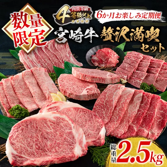 数量限定 6か月 お楽しみ 定期便 宮崎牛 贅沢 満喫 セット 総重量2.5kg 黒毛和牛 ブランド牛 牛肉 国産 ビーフ 人気 食品 焼肉 ステーキ スライス 小間切れ しゃぶしゃぶ すき焼き ミヤチク お取り寄せ グルメ ご褒美 記念日 お祝 宮崎県 日南市 送料無料_NA1-25