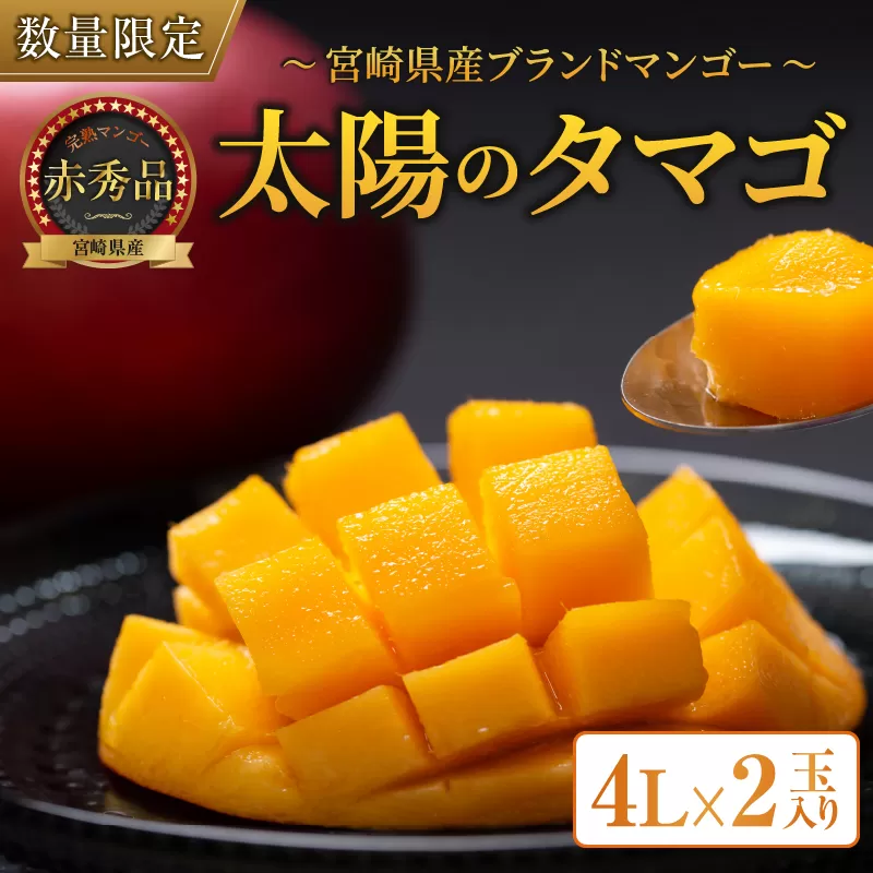 完熟マンゴー 太陽のタマゴ 赤秀品 4L × 2玉 期間限定 数量限定 マンゴー 宮崎 フルーツ 果物 くだもの 国産 食品 先行予約 2026 令和8年発送 濃厚 デザート おやつ おすすめ 冷蔵 ご褒美 贅沢 おすそわけ 化粧箱入り ギフト 贈り物 贈答 日南市 送料無料_H7-191