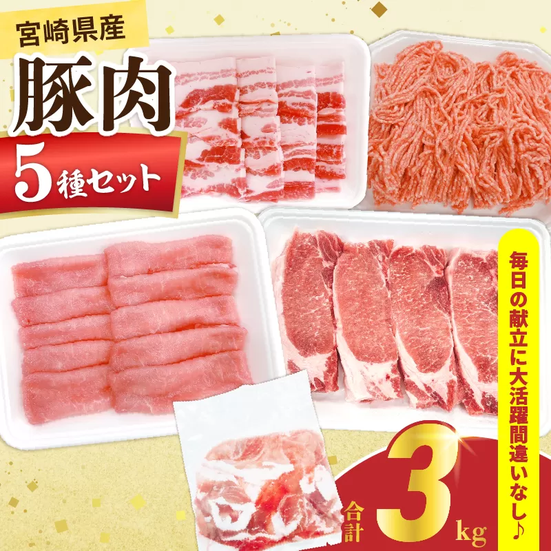 宮崎県産 豚肉 5種 セット (合計3kg) 国産 食品 豚バラ 切り落とし ロース スライス ミンチ 焼肉 BBQ しゃぶしゃぶ 生姜焼き とんかつ ソテー 豚丼 ハンバーグ 個包装 小分け おすすめ おかず お弁当 晩ご飯 手軽 便利 ギフト 贈り物 冷凍 日南市 送料無料_CC69-25