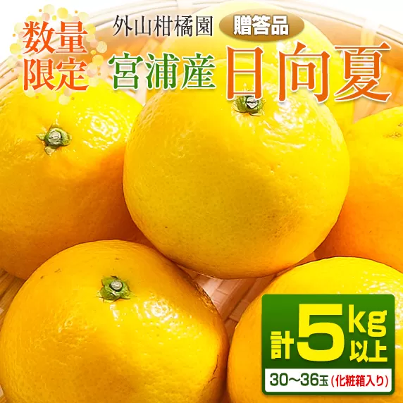 先行予約 宮浦産 日向夏 計5kg以上 化粧箱入り 期間限定 数量限定 フルーツ 果物 くだもの 柑橘 みかん 令和8年発送 国産 産地直送 新鮮 食品 ジュース デザート おやつ ギフト 贈り物 贈答 お返し お礼 手土産 ご褒美 おすそ分け 宮崎県 日南市 送料無料_BB165-25