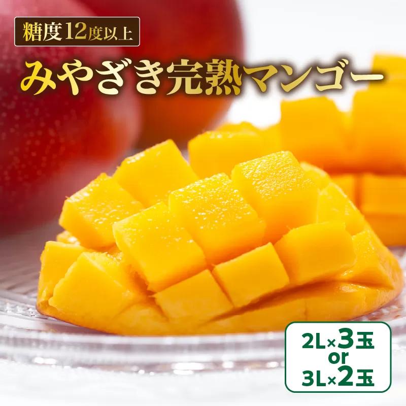 みやざき 完熟マンゴー 2玉 ～ 3玉 期間限定 数量限定 マンゴー 宮崎 フルーツ 果物 くだもの 国産 食品 先行予約 2026 令和8年発送 濃厚 デザート おやつ おすすめ 冷蔵 ご褒美 贅沢 おすそわけ 化粧箱入り ギフト プレゼント 贈り物 贈答 日南市 送料無料_DA33-24