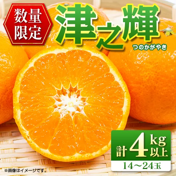 先行予約 津之輝 つのかがやき 4kg以上 (2kg×2箱) 希少 期間限定 数量限定 フルーツ 果物 くだもの 柑橘 みかん 令和8年発送 国産 食品 おすすめ デザート おやつ みかんジュース フルーツサンド ギフト 贈り物 贈答 おすそ分け 宮崎県 日南市 送料無料_BD92-24