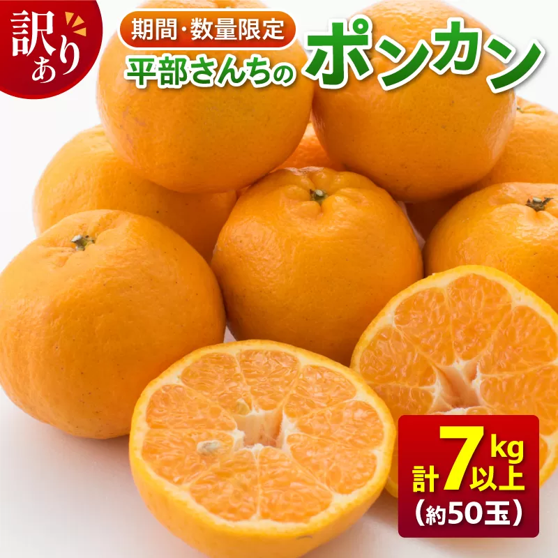 訳あり 平部さんちのポンカン 計7kg以上 先行予約 期間限定 数量限定 フルーツ 果物 くだもの 柑橘 みかん 蜜柑 わけあり 国産 食品 おやつ デザート みかんジュース フルーツサンド おすすめ ご家庭用 おすそ分け 産地直送 宮崎県 日南市 送料無料_BA60-23