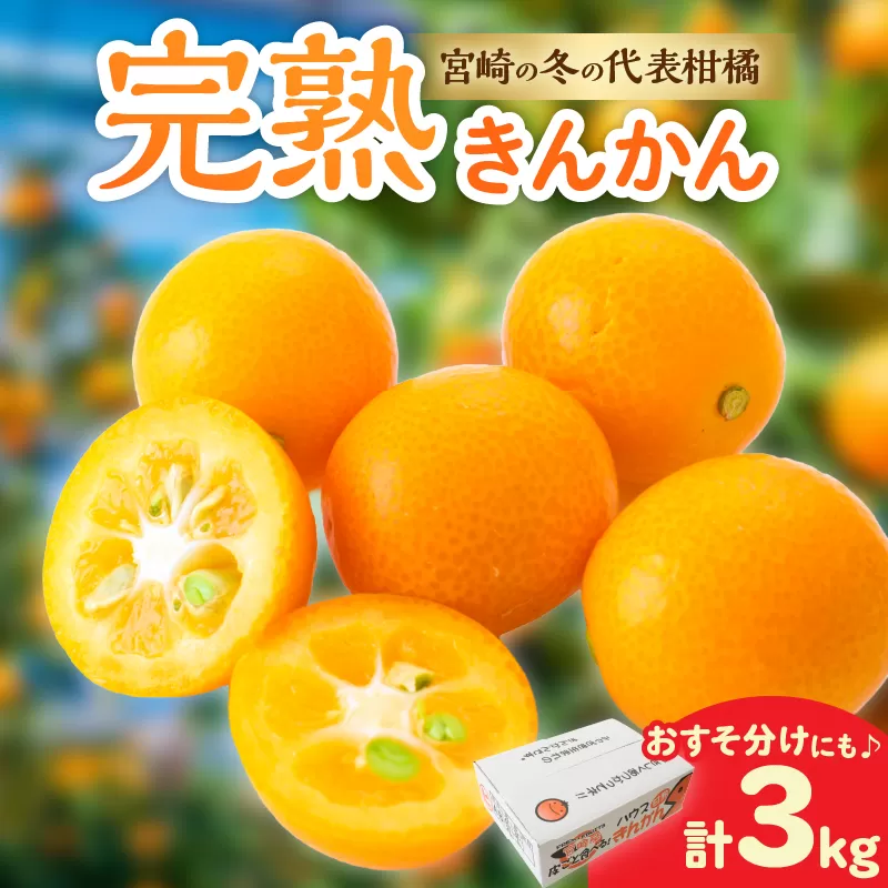 完熟きんかん 計3kg 期間限定 数量限定 フルーツ 果物 くだもの 柑橘 金柑 国産 食品 デザート おやつ 甘露煮 ジャム まるごと 甘い ビタミン おすすめ ギフト プレゼント おすそ分け 産地直送 先行予約 令和8年発送 宮崎県 日南市 送料無料_BAV9-25