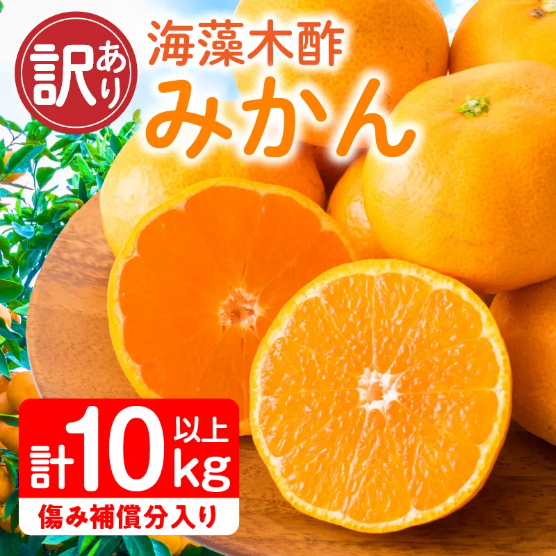 訳あり 海藻木酢みかん 計 10kg 以上 傷み補償分入り フルーツ 果物 くだもの 柑橘 みかん 国産 みかんジュース 食品 家庭用 自宅用 B品 わけあり オレンジ デザート おやつ おすすめ おすそ分け ご褒美 産地直送 宮崎県 日南市 送料無料_BBV4-25