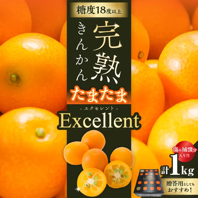 糖度18度以上!! 完熟きんかん たまたま エクセレント 計1kg 傷み補償分入り 期間限定 数量限定 フルーツ 果物 柑橘 金柑 国産 食品 A品 2L 最高級 ブランド 大粒 極甘 デザート おすすめ ギフト プレゼント 贈り物 贈答 先行予約 宮崎県 日南市 送料無料_CB115-25