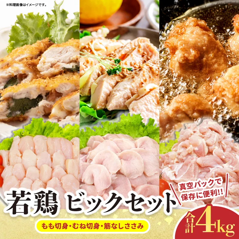 若鶏 ビッグ セット 合計4kg 鶏肉 もも肉 むね肉 筋なしささみ 小分け 美味しい カット済み チキン 国産 切身 便利 食べ比べ おかず お弁当 おつまみ 食品 真空パック 焼肉 からあげ サラダ 万能食材 おすすめ ご褒美 記念日 お祝い 日南市 宮崎県 送料無料_D128-26