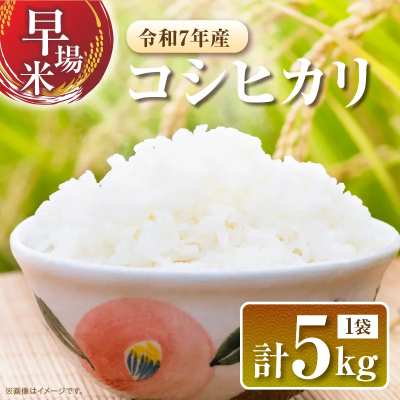 2週間以内に発送 早場米 令和7年産 コシヒカリ 計5kg 米 期間限定 日南市産 お米 ご飯 ライス 国産 人気 食品 精米 白米 こしひかり 有洗米 おすすめ おにぎり お弁当 炊き込みご飯 雑炊 ギフト 贈り物 産地直送 宮崎県 日南市 送料無料_CA79-25