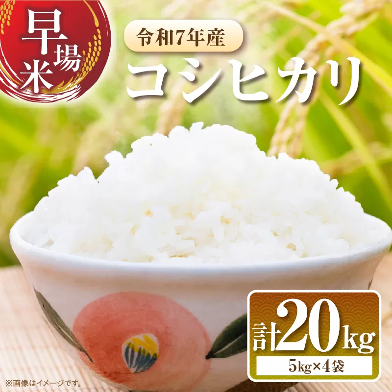 2週間以内に発送 早場米 コシヒカリ 計20kg 期間限定 日南市産 お米 ご飯 ライス 国産 令和7年産 人気 食品 精米 白米 こしひかり 有洗米 おにぎり お弁当 炊き込みご飯 雑炊 ギフト 贈り物 贈答 産地直送 宮崎県 日南市 送料無料_I30-25