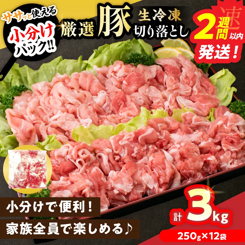 大人気 生冷凍 厳選 豚切り落とし 計3kg 国産 食品 豚肉 ぶた ポーク 小分け 個包装 真空パック 便利 大容量 生姜焼き 野菜炒め 豚汁 肉じゃが 豚丼 お弁当 おかず 晩ご飯 おすすめ 使い切りサイズ 万能食材 おすそ分け 宮崎県 日南市 送料無料_C167-26-2W