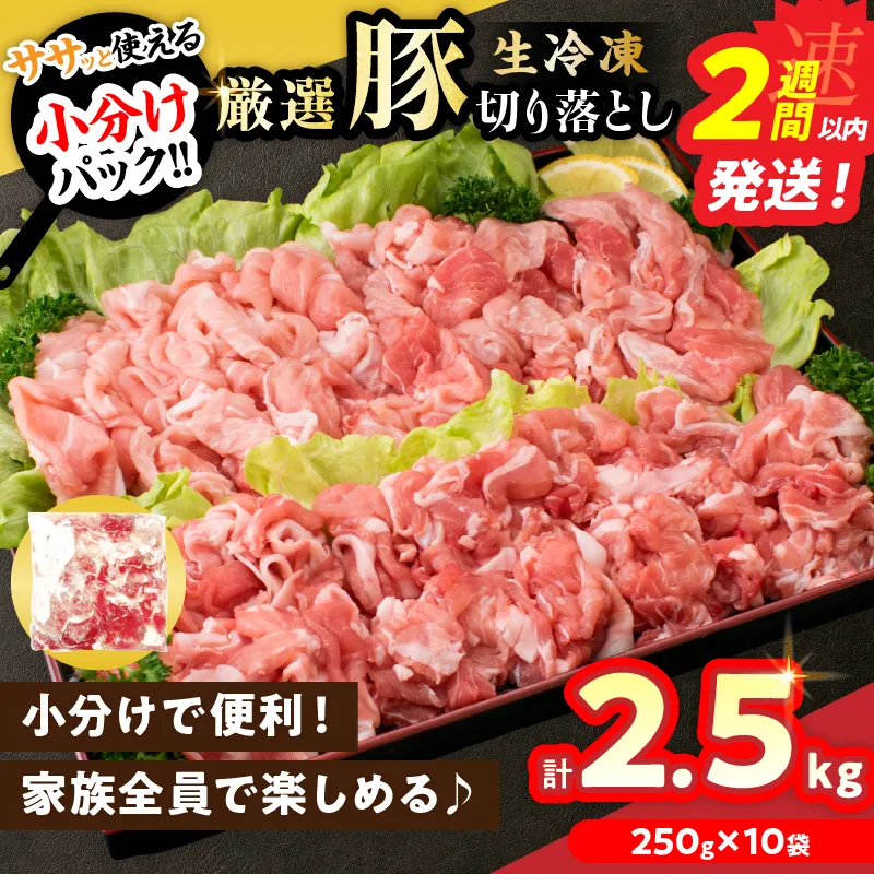 大人気 生冷凍 厳選 豚切り落とし 計2.5kg 国産 食品 豚肉 ぶた ポーク 小分け 個包装 真空パック 便利 大容量 生姜焼き 野菜炒め 豚汁 肉じゃが 豚丼 お弁当 おかず 晩ご飯 おすすめ 使い切りサイズ 万能食材 おすそ分け 宮崎県 日南市 送料無料_BD123-26-2W