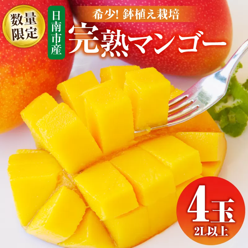 数量限定 希少 完熟マンゴー 鉢植え栽培 2L以上 × 4玉 フルーツ 果物 くだもの 期間限定 国産 食品 高糖度 濃厚 贅沢 上質 人気 おすすめ デザート おやつ ご褒美 お取り寄せ グルメ 贈り物 プレゼント ギフト お土産 お祝 宮崎県 日南市 産地直送 送料無料_FC16-25