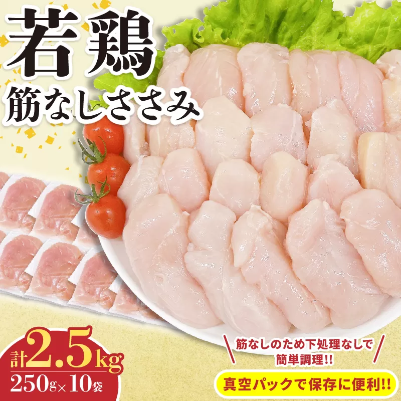 若鶏 筋なし ささみ 計2.5kg 鶏肉 国産 チキン ササミ 人気 小分け 便利 おかず お弁当 食品 真空パック ヘルシー 高タンパク 低カロリー 焼肉 唐揚げ サラダ グルメ お取り寄せ おすすめ ご褒美 記念日 お祝い おすそ分け 日南市 宮崎県 送料無料_C131-24
