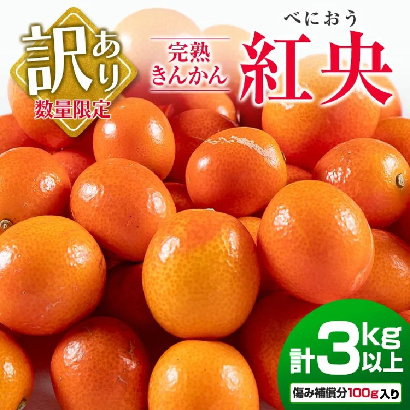 訳あり 先行予約 完熟 きんかん 紅央 計3kg以上 傷み補償分入り フルーツ 果物 数量限定 期間限定 訳アリ くだもの 柑橘 金柑 おすすめ おすそ分け 国産 食品 デザート ブランド 希少 ご家庭用 ご自宅用 お取り寄せ 特産品 産地直送 宮崎県 日南市 送料無料_BAV7-25