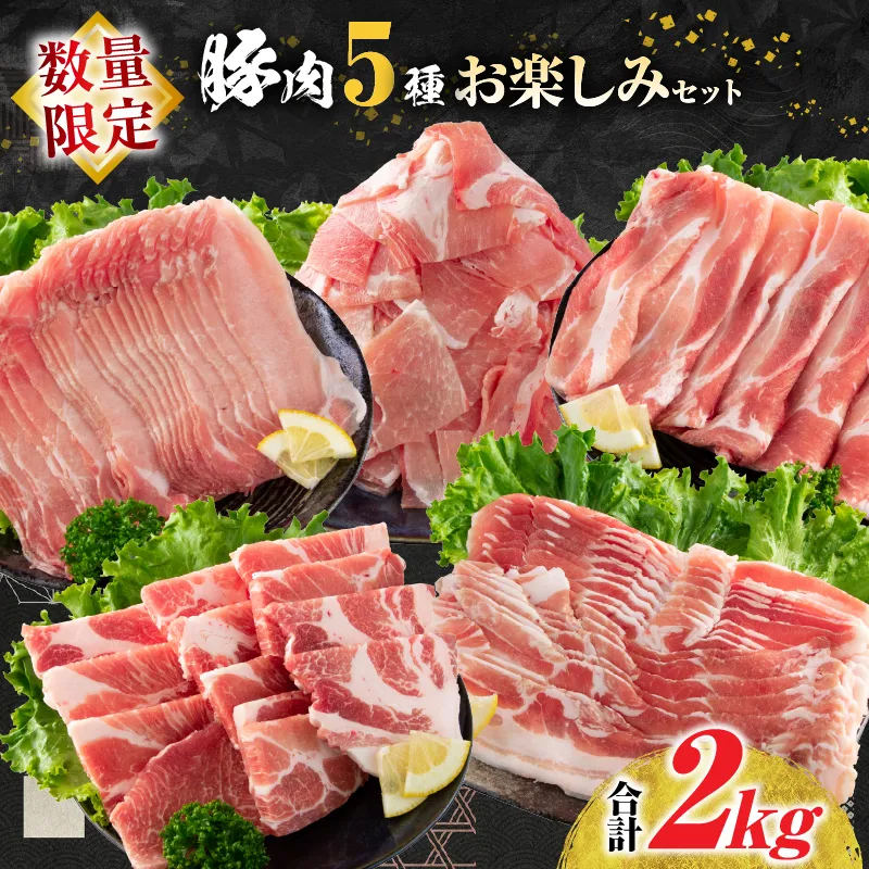 数量限定 豚肉 5種 お楽しみ セット 合計2kg 肉 豚 国産 おかず 食品 小分け 焼肉 しゃぶしゃぶ ロース 豚バラ 肩ロース モモ スライス こま切れ 豚しゃぶ 豚丼 詰め合わせ おすすめ 人気 お弁当 おつまみ 普段使い 冷凍 ミヤチク 宮崎県 日南市 送料無料_CA69-25
