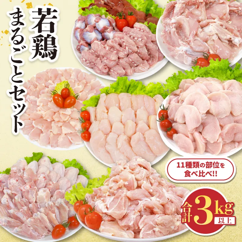若鶏 まるごと セット 合計3kg以上 鶏肉 国産 チキン 鶏もも肉 鶏むね肉 切身 ささみ 肝 砂肝 小肉 手羽先 手羽中 手羽元 肩肉 骨付きもも 人気 小分け おかず お弁当 食品 真空パック BBQ お取り寄せ おすすめ 記念日 お祝い おすそ分け 日南市 宮崎県 送料無料_CB126-26