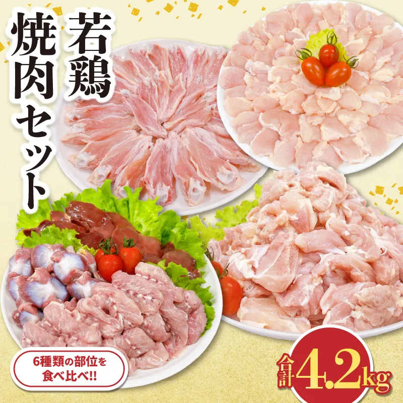 若鶏 焼肉 セット 合計4.2kg 鶏肉 国産 チキン 鶏もも肉 切身 肝 砂肝 小肉 手羽中 チキンリブ 肩肉 人気 小分け 便利 おかず お弁当 おつまみ 食品 真空パック BBQ 唐揚げ お取り寄せ おすすめ ご褒美 記念日 お祝い おすそ分け 日南市 宮崎県 送料無料_DA62-26