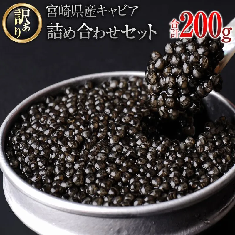 訳あり 5つ星ホテル採用 宮崎県産 キャビア 詰め合わせ セット 合計200g 魚卵 魚介 魚貝 国産 熟成 新鮮 希少 食品 三大珍味 黒いダイヤ おすすめ 水産物 おつまみ ご褒美 お祝い 記念日 パーティー 日南市 送料無料_XF1-25