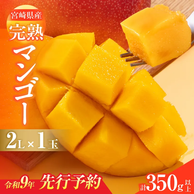 先行予約 宮崎県産 完熟マンゴー 2L×1玉 計350g以上 フルーツ スイーツ 果物 くだもの 食品 グルメ デザート 国産 産地直送 おすすめ おやつ ご褒美 贈り物 ギフト プレゼント 令和9年発送分 宮崎県 日南市 送料無料_BAV16-26