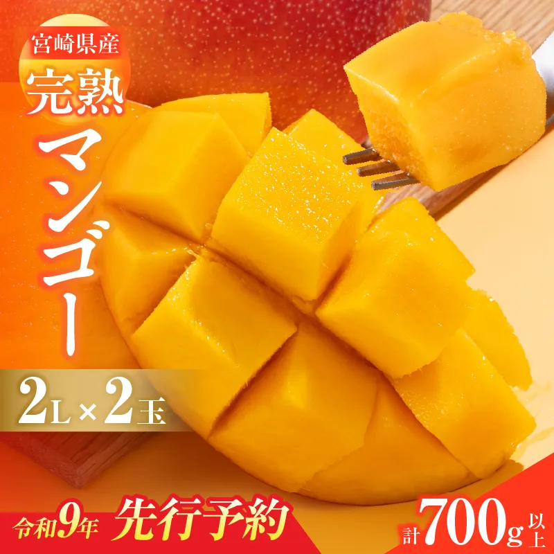 先行予約 宮崎県産 完熟マンゴー 2L×2玉 計700g以上 フルーツ スイーツ 果物 くだもの 食品 グルメ デザート 国産 産地直送 おすすめ おやつ ご褒美 贈り物 ギフト プレゼント 令和9年発送分 宮崎県 日南市 送料無料_CA101-26
