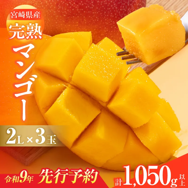 先行予約 宮崎県産 完熟マンゴー 2L×3玉 計1050g以上 フルーツ スイーツ 果物 くだもの 食品 グルメ デザート 国産 産地直送 おすすめ おやつ ご褒美 贈り物 ギフト プレゼント 令和9年発送分 宮崎県 日南市 送料無料_DC41-26