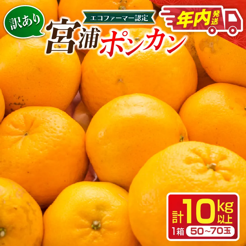 年内発送 訳あり 宮浦 ポンカン 10kg 先行予約 フルーツ 果物 くだもの 柑橘 みかん 蜜柑 ワケアリ 不揃い 国産 食品 おやつ デザート みかんジュース おすすめ 旬 ご家庭用 自宅用 傷 おすそ分け 産地直送 選べる 宮崎県 日南市 送料無料_CD105-26