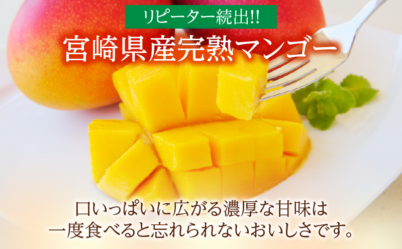 特大5Lサイズ 宮崎県産 完熟マンゴー 2玉 化粧箱入り 令和8年 特大5Lサイズ 宮崎県産 完熟マンゴー 2玉 化粧箱入り 令和8年
