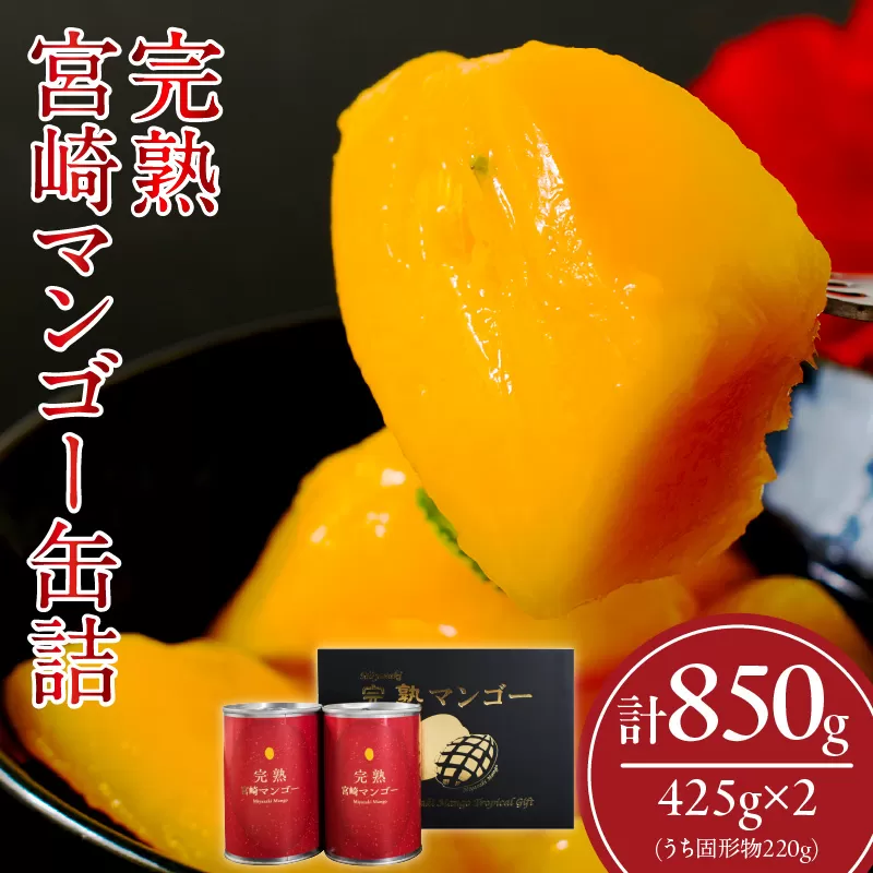 完熟 宮崎 マンゴー 缶詰 2缶 セット フルーツ 果物 くだもの 果汁 完熟マンゴー おすすめ おすそ分け おやつ デザート 贅沢 お菓子 マンゴータルト フルーツポンチ 食品 加工品 国産 南国 常温 ギフト 贈り物 お土産 プレゼント 宮崎県 日南市 送料無料_FF8-24