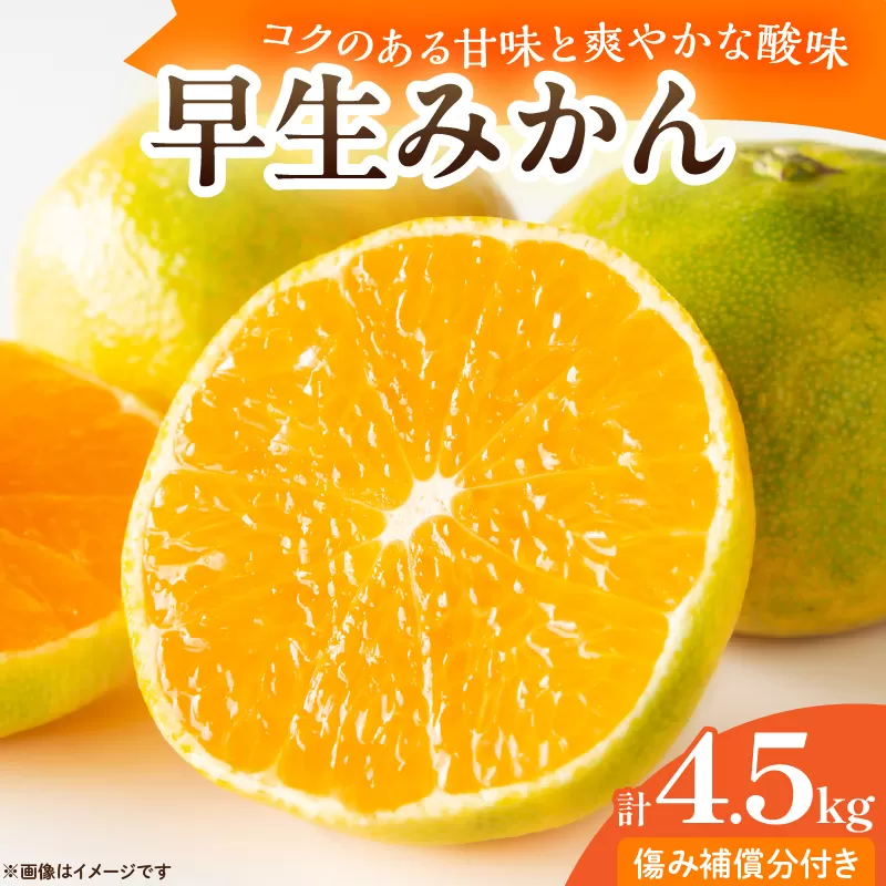 早生みかん 計4.5kg 傷み補償分付き 期間限定 果物 くだもの フルーツ 蜜柑 ミカン 柑橘 オレンジ おやつ デザート みかんジュース 飲み物 ビタミン補給 おすすめ おすそ分け 国産 食品 産地直送 お祝い お返し ギフト 贈り物 お土産 宮崎県 日南市 送料無料_BC126-25