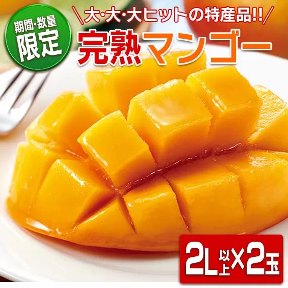 数量限定 日南市産 完熟 マンゴー 2L以上×2玉 フルーツ 果物 人気 国産 完熟マンゴー 食品 デザート 産地直送 送料無料_BC62-23