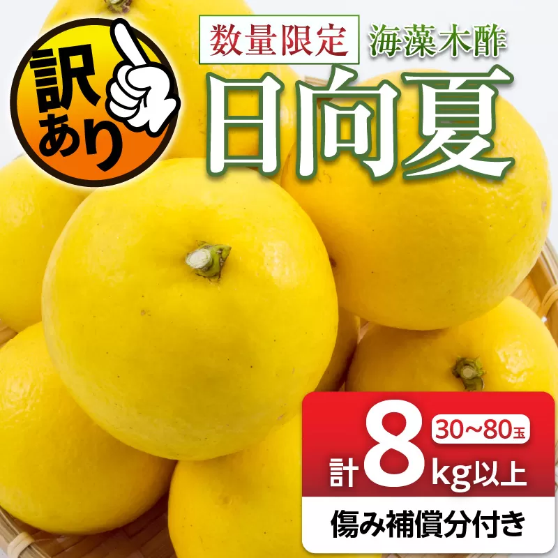 先行予約 訳あり 海藻木酢 日向夏 小夏 計8kg以上 傷み補償分付き 期間限定 数量限定 フルーツ 果物 くだもの 柑橘 みかん 訳アリ 国産 食品 デザート おやつ おすそ分け おすすめ ご家庭用 ご自宅用 B品 傷 マーマレード 産地直送 宮崎県 日南市 送料無料_BA80-24