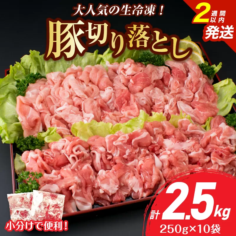 大人気 生冷凍 厳選 豚切り落とし 計2.5kg 豚肉 おすすめ 国産 食品 焼肉 肉じゃが 豚汁 野菜炒め おかず お弁当 晩ご飯 グルメ 小分け 個包装 真空パック おすそ分け お取り寄せ 新鮮 万能食材 宮崎県 日南市 送料無料_CV5-25-2W